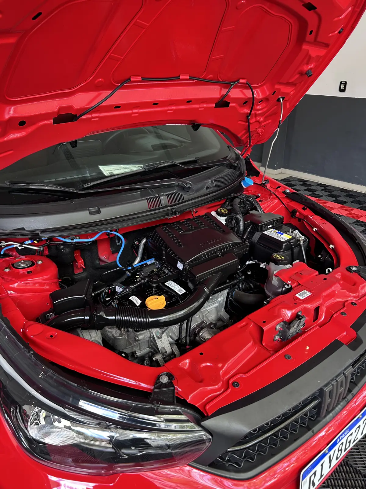 O mesmo motor depois da limpeza técnica, limpo e protegido